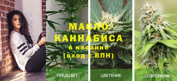 прущие грибы Костерёво