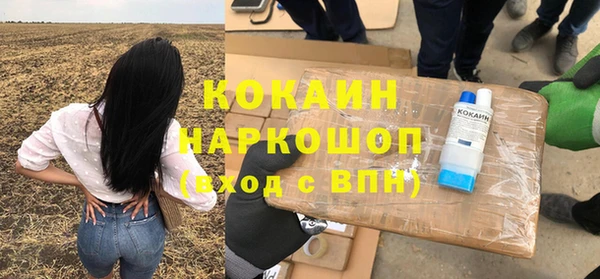 твердый Коряжма