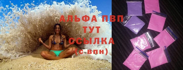 прущие грибы Костерёво