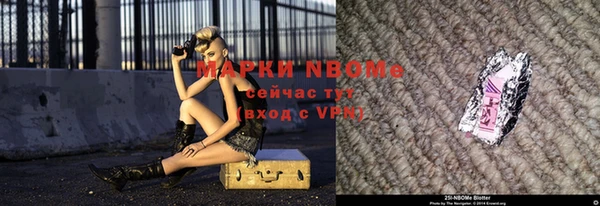 прущие грибы Костерёво